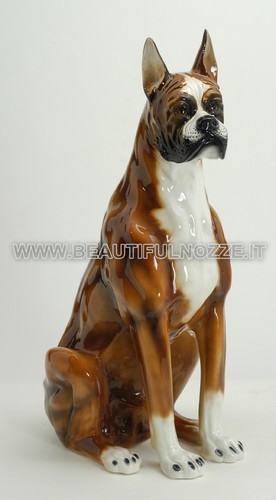 Cane boxer seduto - seduto, in