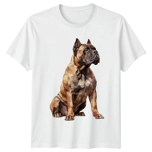 Boxer shirt cane amante - boxer, t-shirt