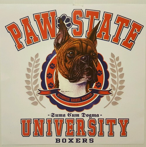 Camicia boxer paw state - paw,