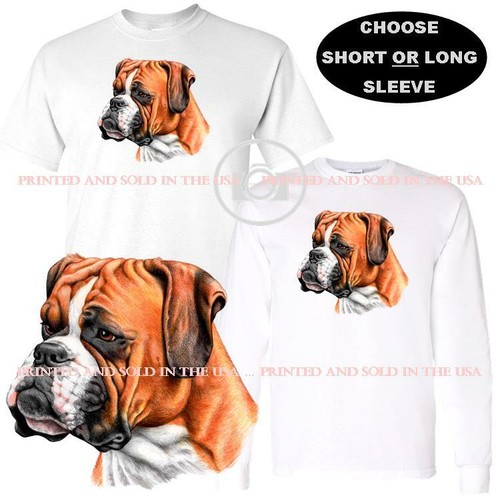 Boxer cane razza cervo colore - razza,