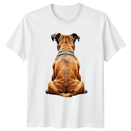 Boxer cane seduto vista