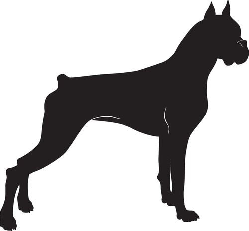 Adesivo stickers decal - stickers,