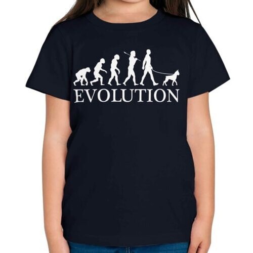 Boxer cane evolution uomo - evolution, of