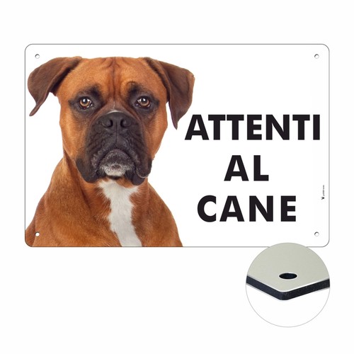 Boxer attenti cane - boxer,