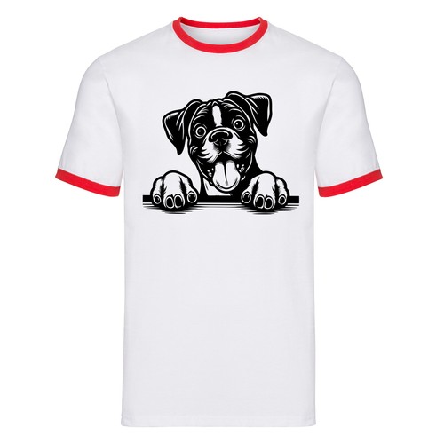 Carino peeking boxer cucciolo - peeking,